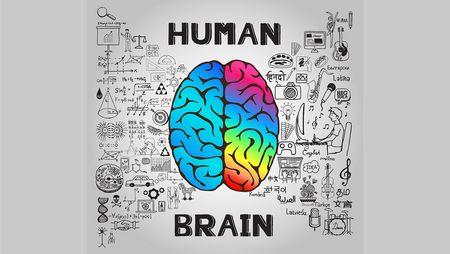 Content and cognition: Writing for the human mind